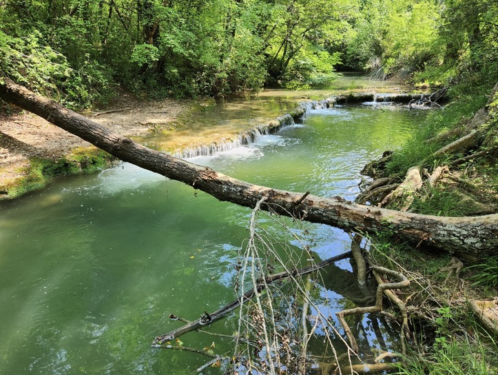 Rivière et petites cascades au Domaine de Tilopa