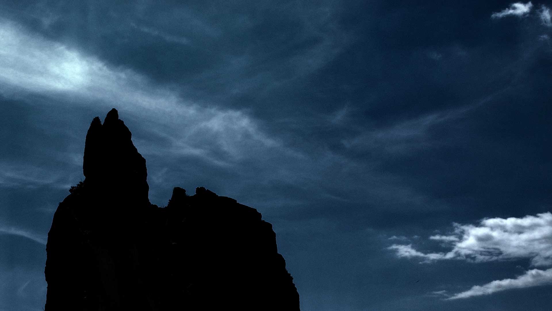 Atelier Danse – État Sauvage